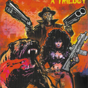 The Gunfighters of the Drunken Master Trilogy: A Post Apocalyptic Spaghetti Western book cover